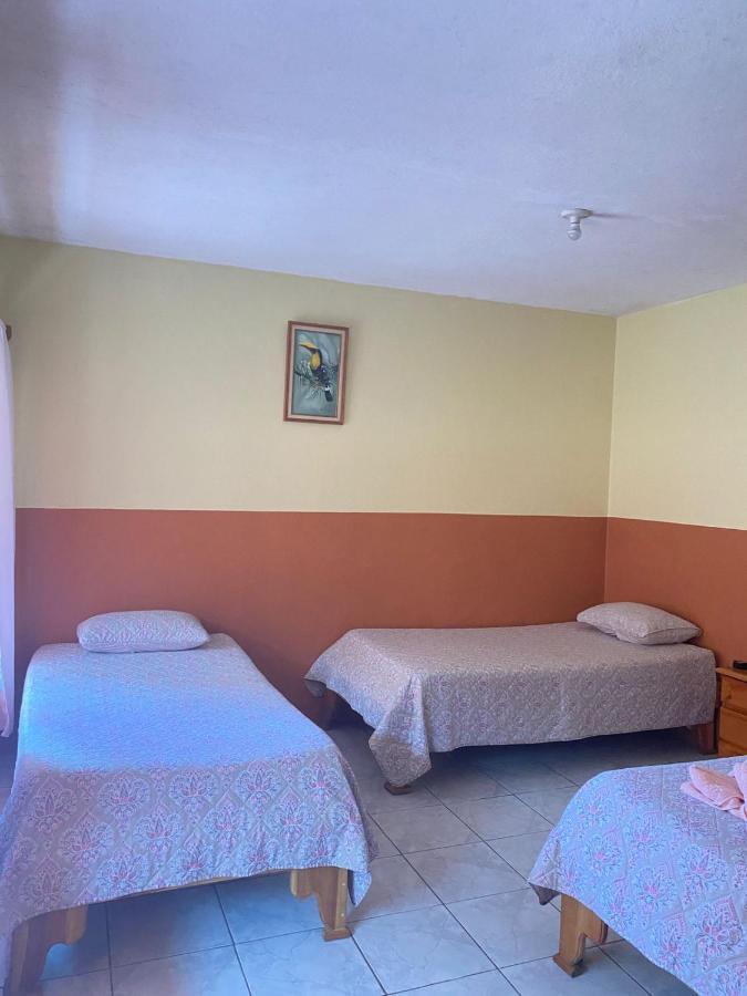 Hotel La Puesta Del Sol B&B Monteverde Extérieur photo