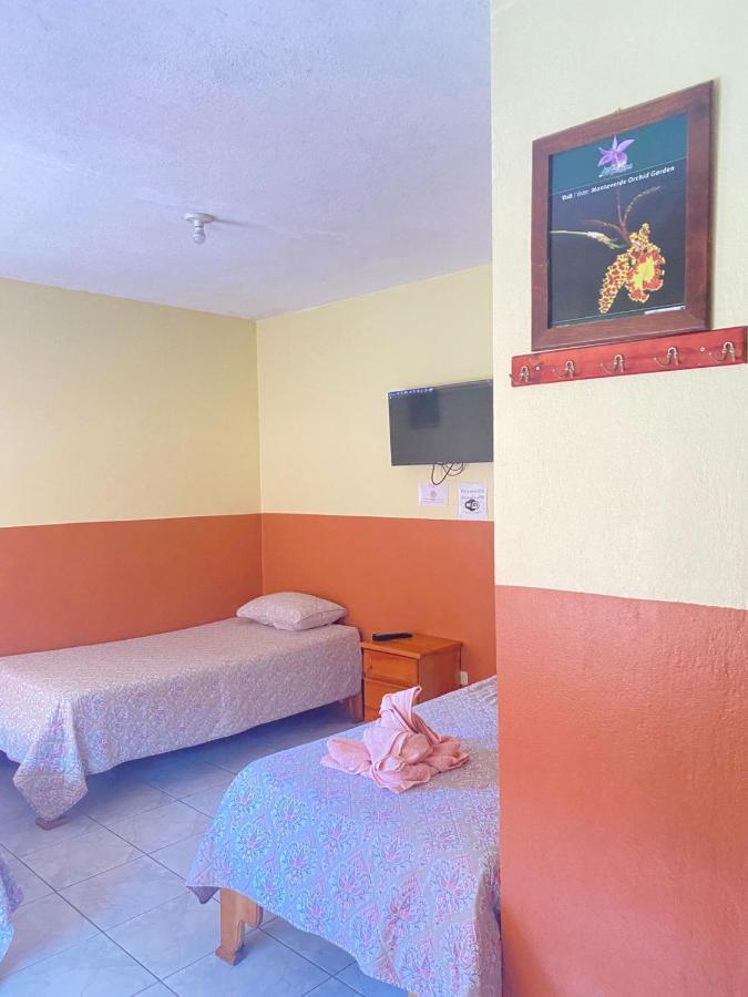 Hotel La Puesta Del Sol B&B Monteverde Extérieur photo